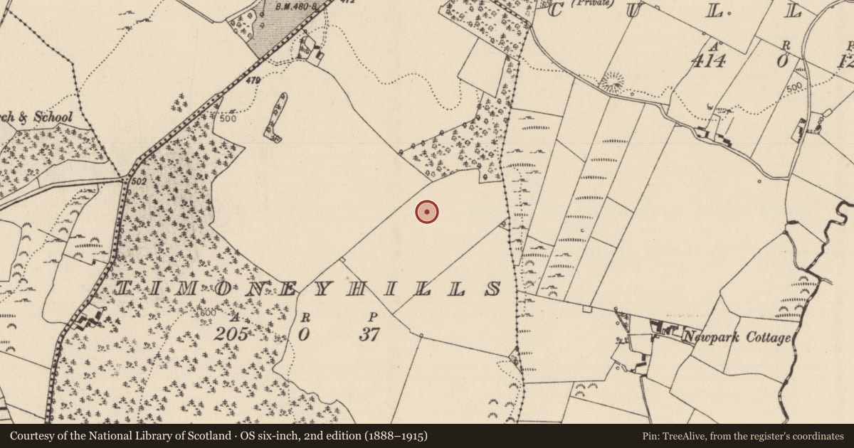 Ordnance Survey six-inch map, 2nd edition (1888–1915) covering the location of Standing stone, Timoney Hills, County Tipperary North, with a pin at the register's coordinates