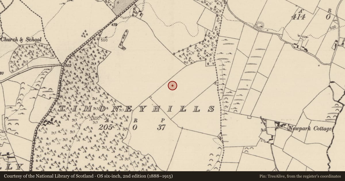 Ordnance Survey six-inch map, 2nd edition (1888–1915) covering the location of Standing stone, Timoney Hills, County Tipperary North, with a pin at the register's coordinates