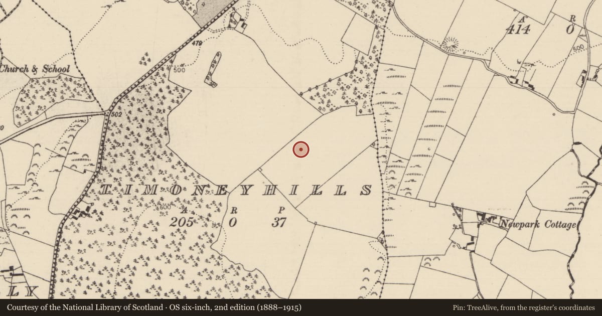 Ordnance Survey six-inch map, 2nd edition (1888–1915) covering the location of Standing stone, Timoney Hills, County Tipperary North, with a pin at the register's coordinates