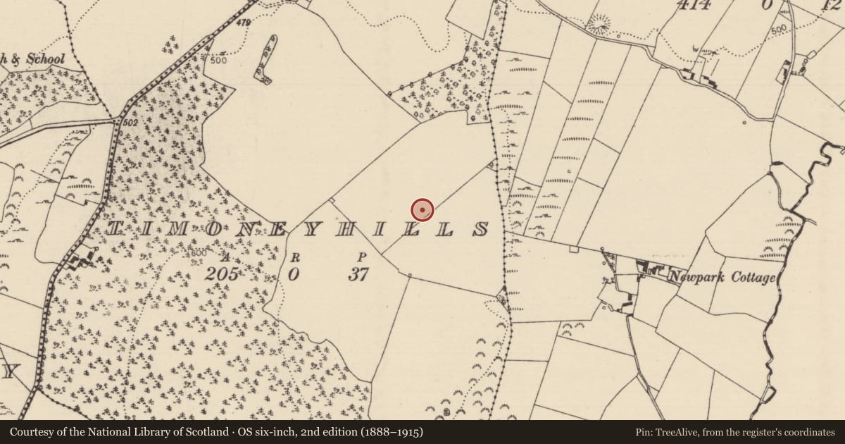 Ordnance Survey six-inch map, 2nd edition (1888–1915) covering the location of Standing stone, Timoney Hills, County Tipperary North, with a pin at the register's coordinates