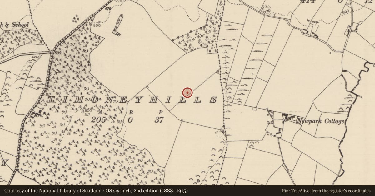 Ordnance Survey six-inch map, 2nd edition (1888–1915) covering the location of Standing stone, Timoney Hills, County Tipperary North, with a pin at the register's coordinates