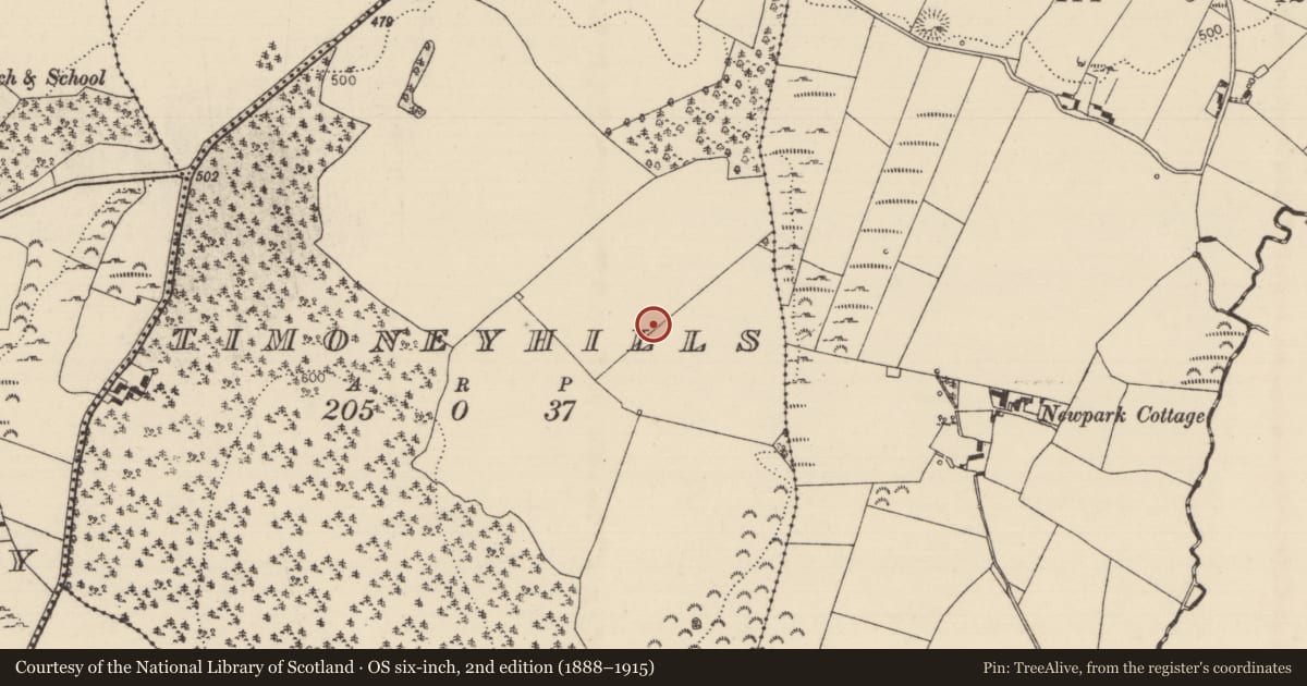 Ordnance Survey six-inch map, 2nd edition (1888–1915) covering the location of Standing stone, Timoney Hills, County Tipperary North, with a pin at the register's coordinates