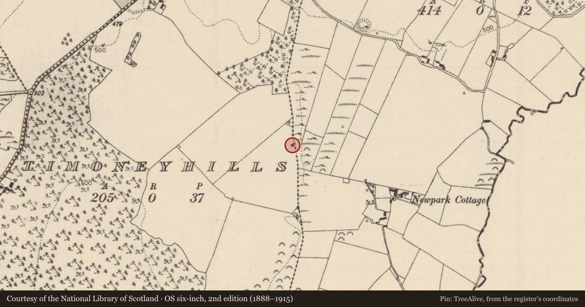 Ordnance Survey six-inch map, 2nd edition (1888–1915) covering the location of Standing stone, Timoney Hills, County Tipperary North, with a pin at the register's coordinates