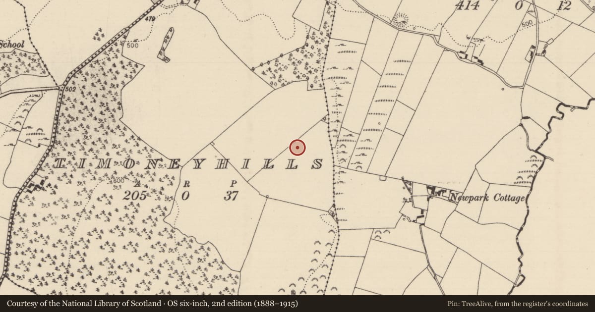 Ordnance Survey six-inch map, 2nd edition (1888–1915) covering the location of Standing stone, Timoney Hills, County Tipperary North, with a pin at the register's coordinates