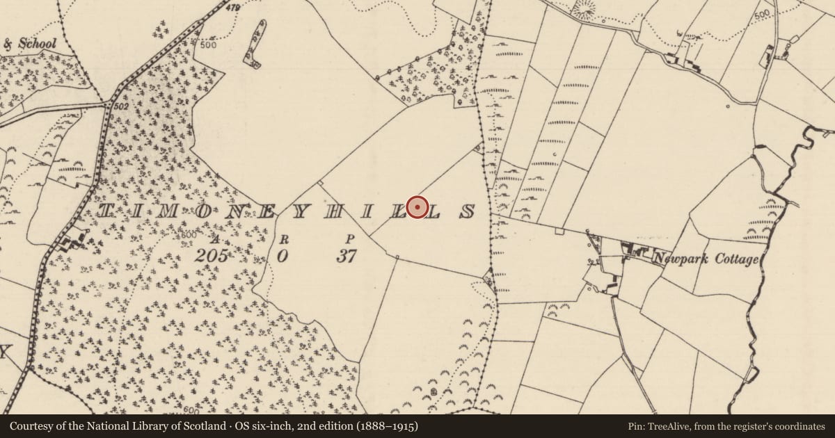 Ordnance Survey six-inch map, 2nd edition (1888–1915) covering the location of Standing stone, Timoney Hills, County Tipperary North, with a pin at the register's coordinates