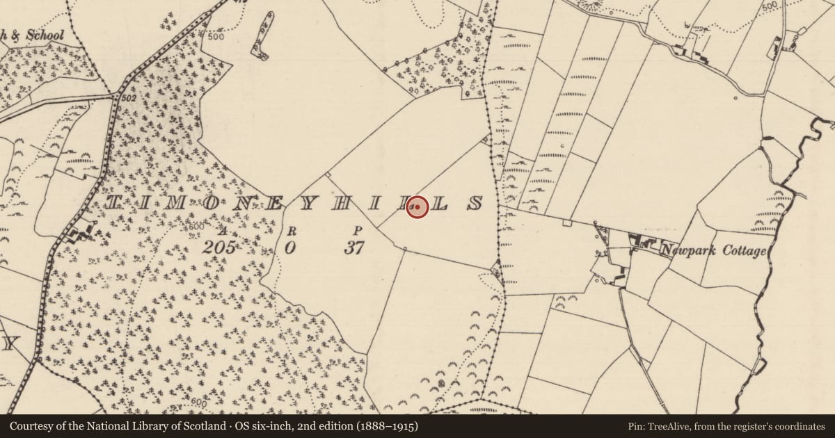 Ordnance Survey six-inch map, 2nd edition (1888–1915) covering the location of Standing stone, Timoney Hills, County Tipperary North, with a pin at the register's coordinates