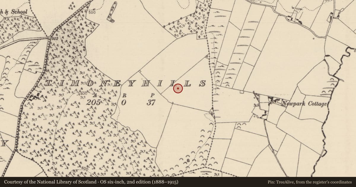 Ordnance Survey six-inch map, 2nd edition (1888–1915) covering the location of Standing stone, Timoney Hills, County Tipperary North, with a pin at the register's coordinates