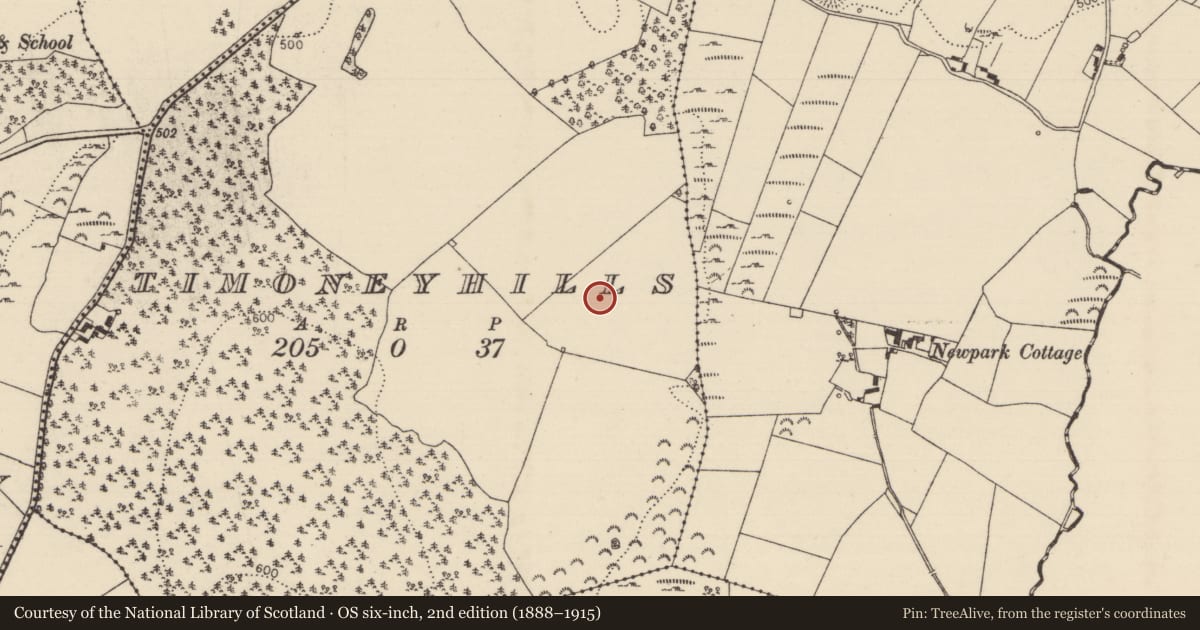 Ordnance Survey six-inch map, 2nd edition (1888–1915) covering the location of Standing stone, Timoney Hills, County Tipperary North, with a pin at the register's coordinates