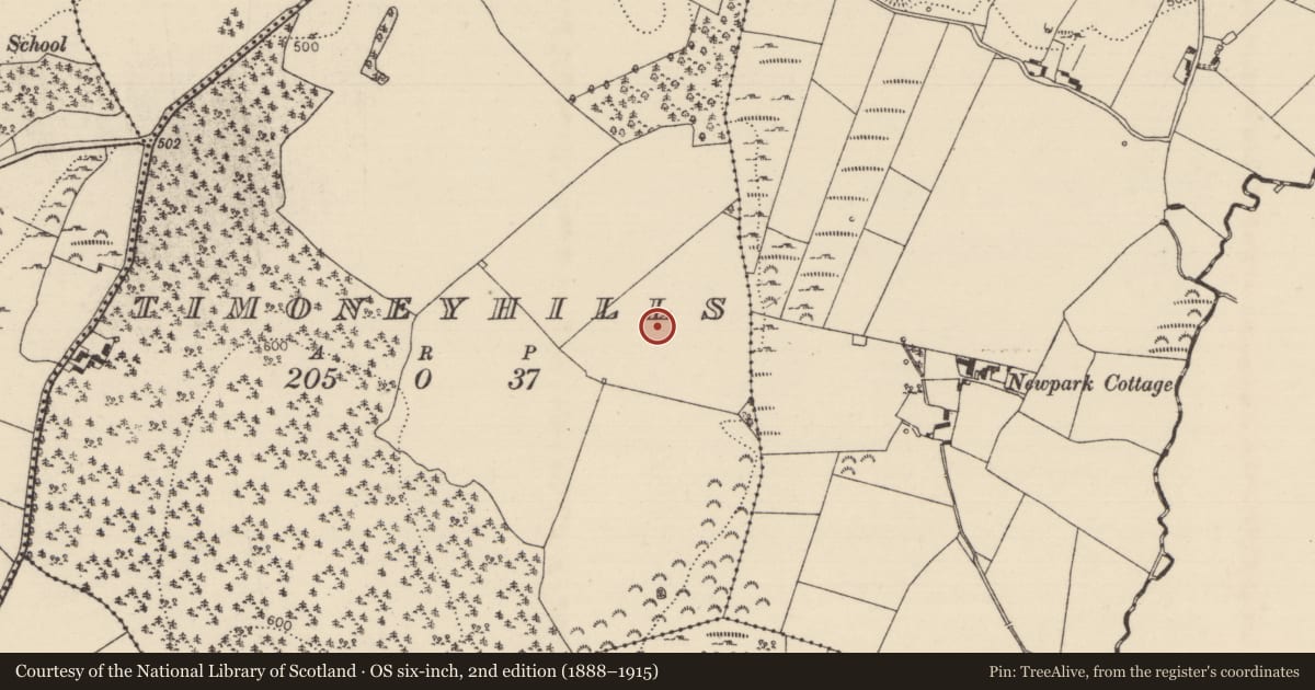 Ordnance Survey six-inch map, 2nd edition (1888–1915) covering the location of Standing stone, Timoney Hills, County Tipperary North, with a pin at the register's coordinates