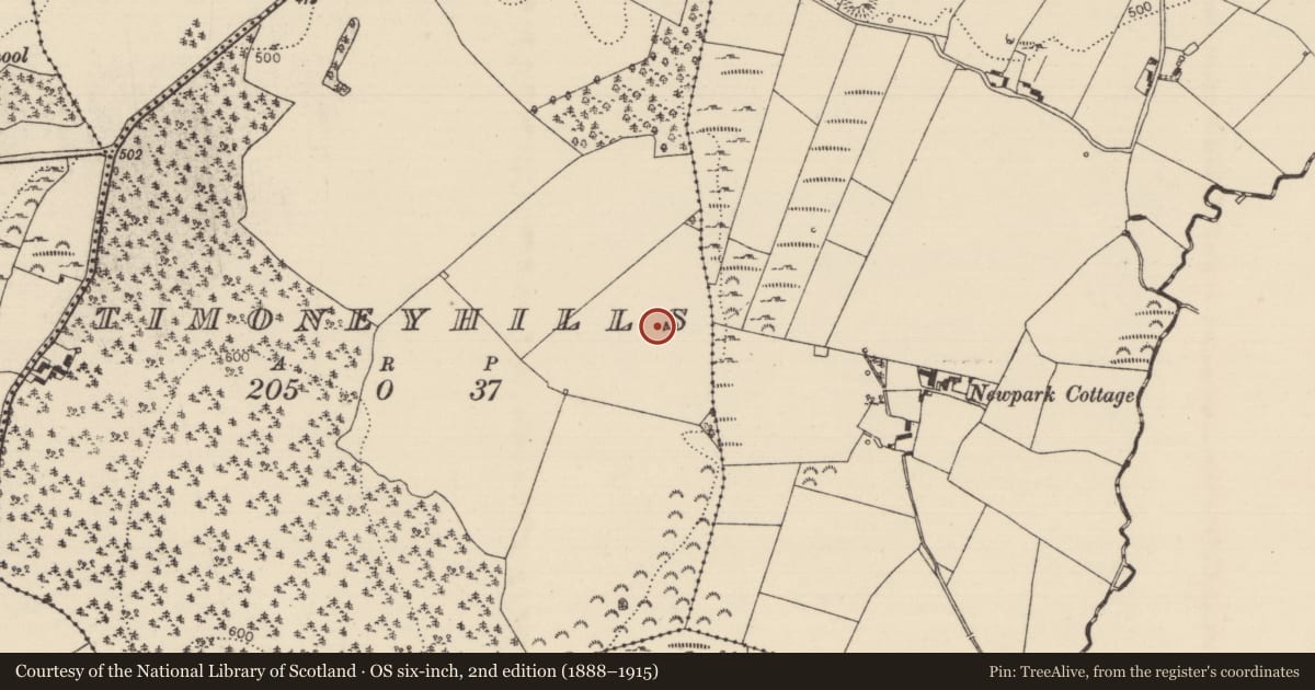 Ordnance Survey six-inch map, 2nd edition (1888–1915) covering the location of Standing stone, Timoney Hills, County Tipperary North, with a pin at the register's coordinates