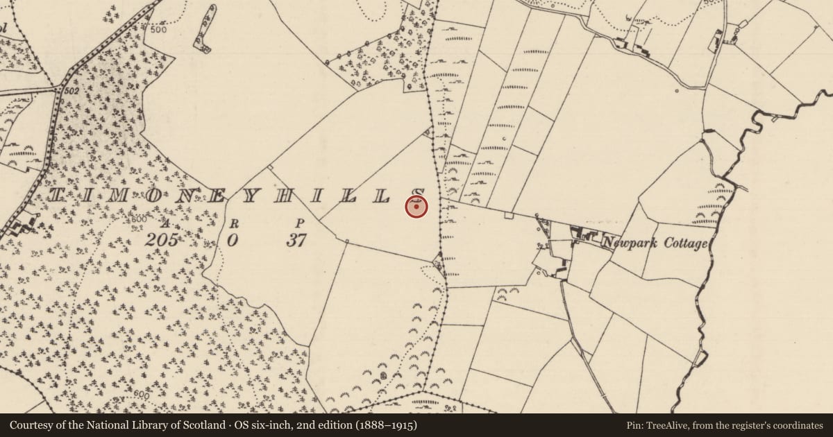 Ordnance Survey six-inch map, 2nd edition (1888–1915) covering the location of Standing stone, Timoney Hills, County Tipperary North, with a pin at the register's coordinates