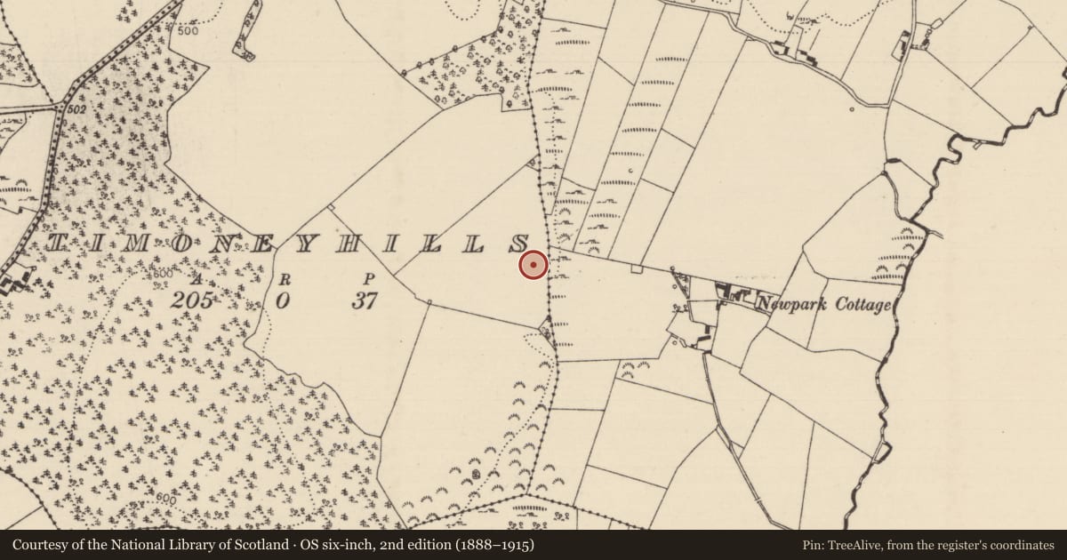 Ordnance Survey six-inch map, 2nd edition (1888–1915) covering the location of Standing stone, Timoney Hills, County Tipperary North, with a pin at the register's coordinates
