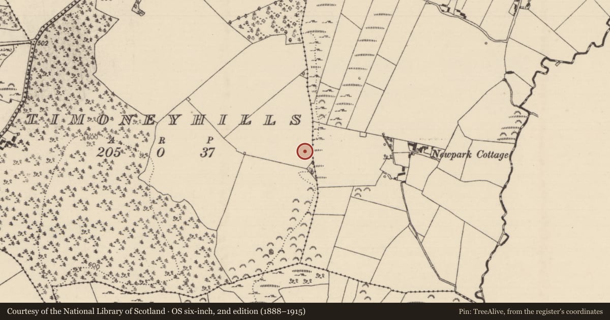 Ordnance Survey six-inch map, 2nd edition (1888–1915) covering the location of Standing stone, Timoney Hills, County Tipperary North, with a pin at the register's coordinates