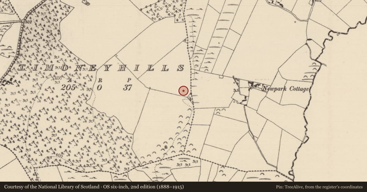 Ordnance Survey six-inch map, 2nd edition (1888–1915) covering the location of Standing stone, Timoney Hills, County Tipperary North, with a pin at the register's coordinates