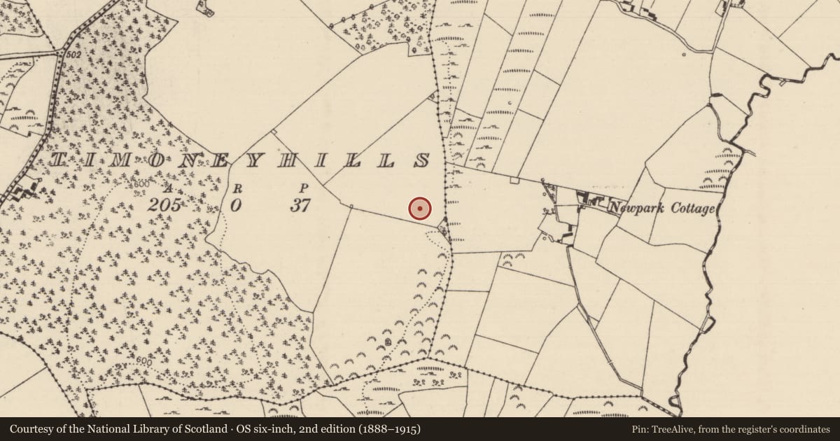 Ordnance Survey six-inch map, 2nd edition (1888–1915) covering the location of Standing stone, Timoney Hills, County Tipperary North, with a pin at the register's coordinates