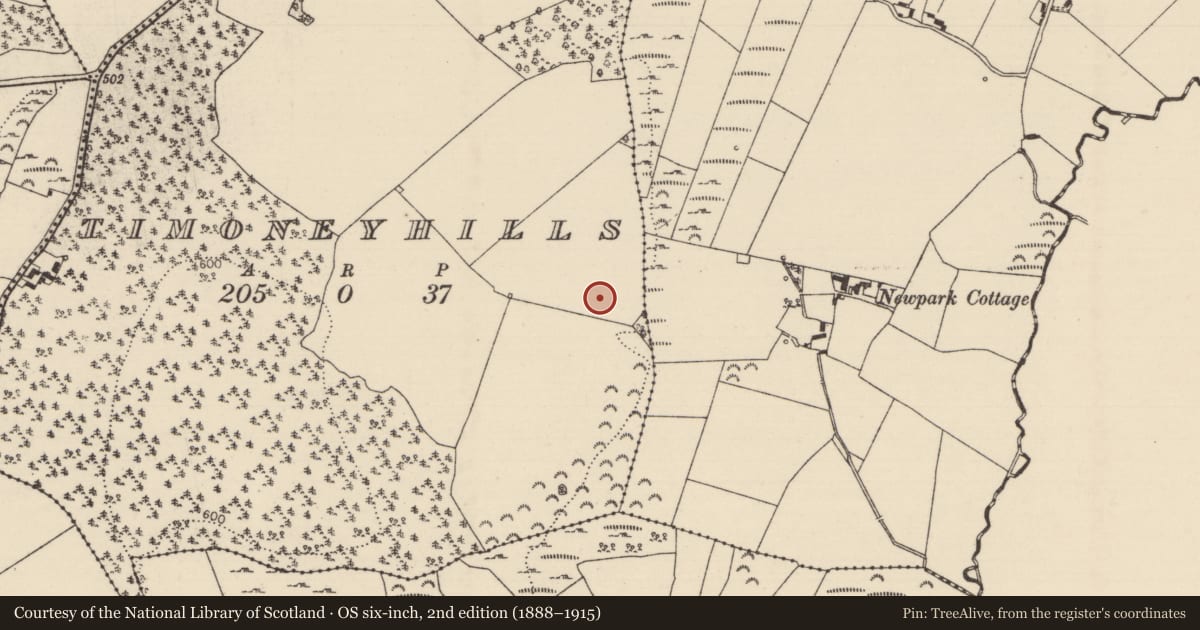 Ordnance Survey six-inch map, 2nd edition (1888–1915) covering the location of Standing stone, Timoney Hills, County Tipperary North, with a pin at the register's coordinates