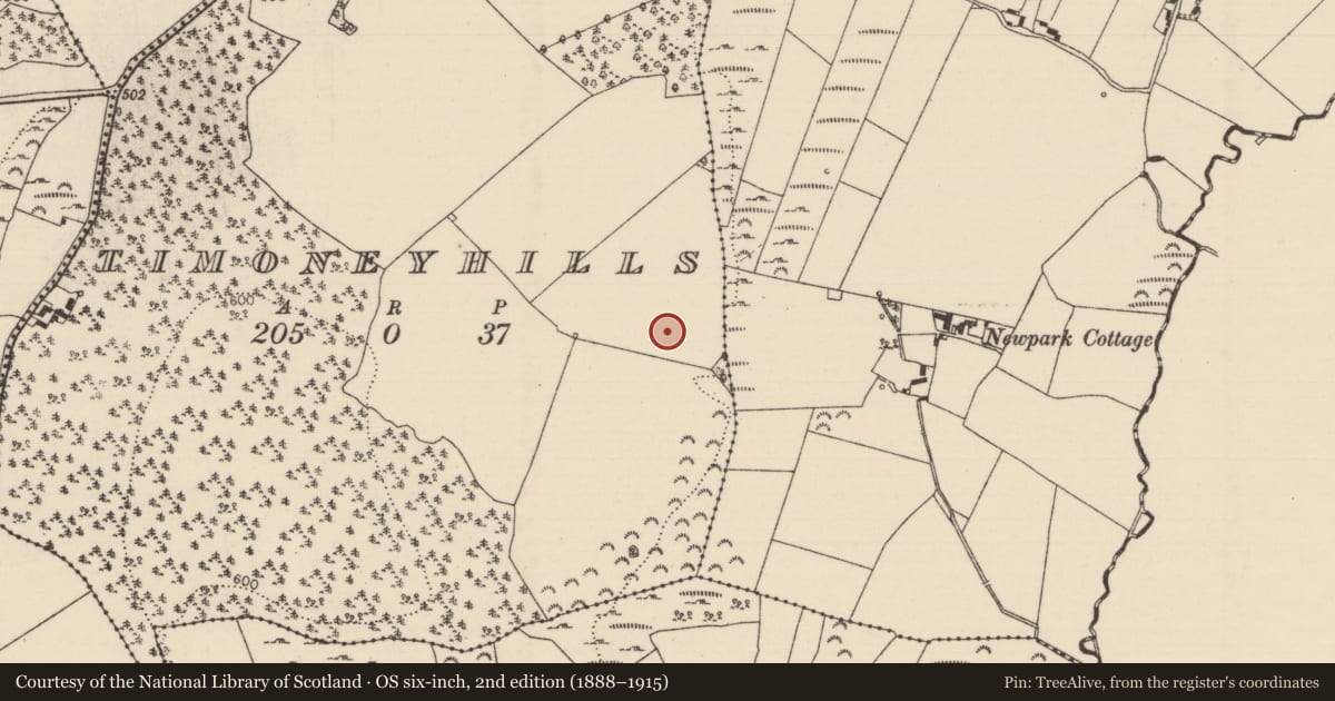 Ordnance Survey six-inch map, 2nd edition (1888–1915) covering the location of Standing stone, Timoney Hills, County Tipperary North, with a pin at the register's coordinates