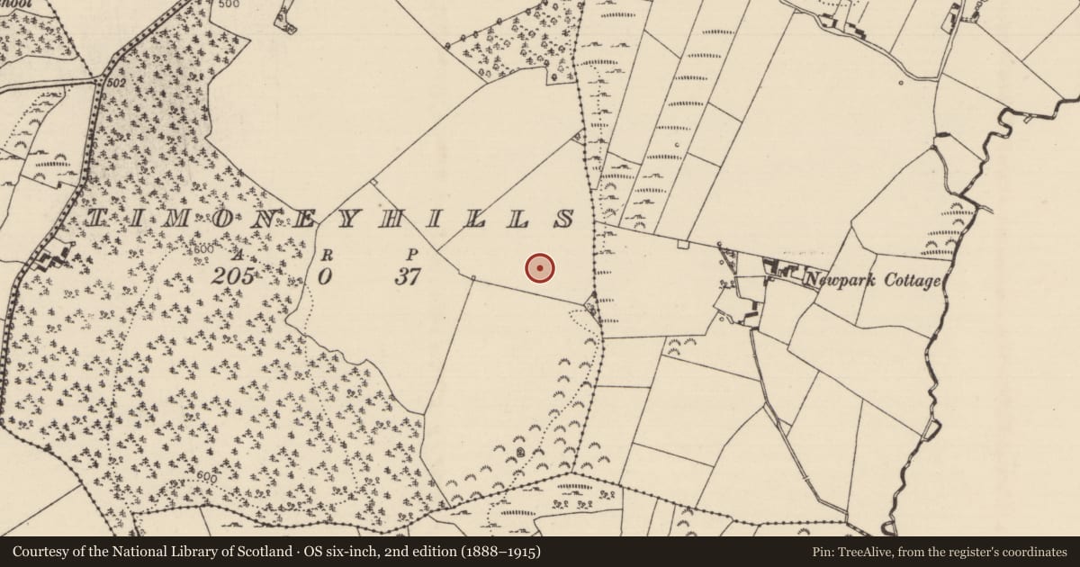 Ordnance Survey six-inch map, 2nd edition (1888–1915) covering the location of Standing stone, Timoney Hills, County Tipperary North, with a pin at the register's coordinates