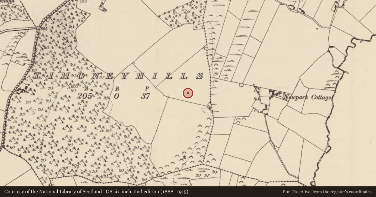 Ordnance Survey six-inch map, 2nd edition (1888–1915) covering the location of Standing stone, Timoney Hills, County Tipperary North, with a pin at the register's coordinates