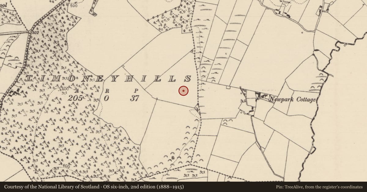 Ordnance Survey six-inch map, 2nd edition (1888–1915) covering the location of Standing stone, Timoney Hills, County Tipperary North, with a pin at the register's coordinates