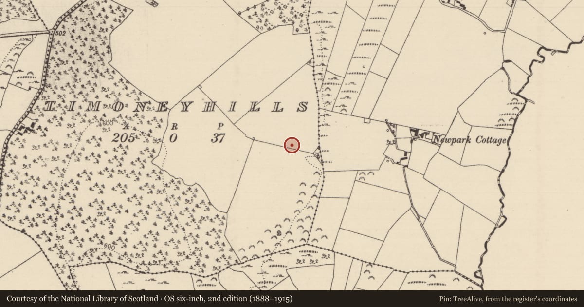 Ordnance Survey six-inch map, 2nd edition (1888–1915) covering the location of Standing stone, Timoney Hills, County Tipperary North, with a pin at the register's coordinates