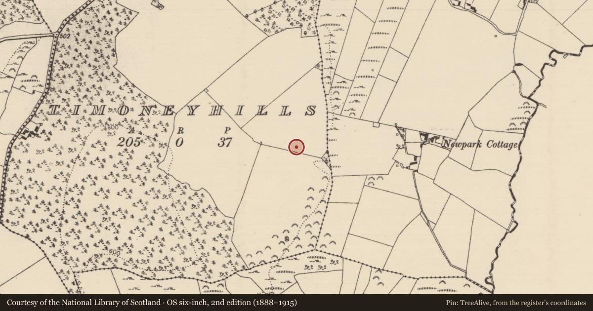 Ordnance Survey six-inch map, 2nd edition (1888–1915) covering the location of Standing stone, Timoney Hills, County Tipperary North, with a pin at the register's coordinates