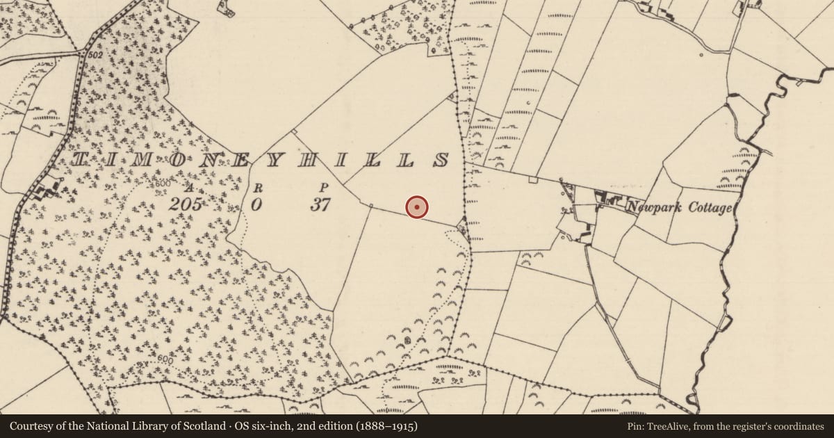 Ordnance Survey six-inch map, 2nd edition (1888–1915) covering the location of Standing stone, Timoney Hills, County Tipperary North, with a pin at the register's coordinates