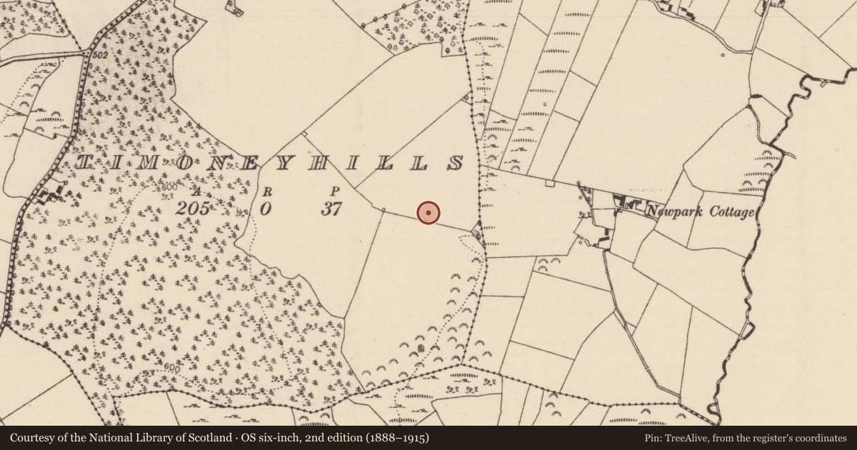Ordnance Survey six-inch map, 2nd edition (1888–1915) covering the location of Standing stone, Timoney Hills, County Tipperary North, with a pin at the register's coordinates