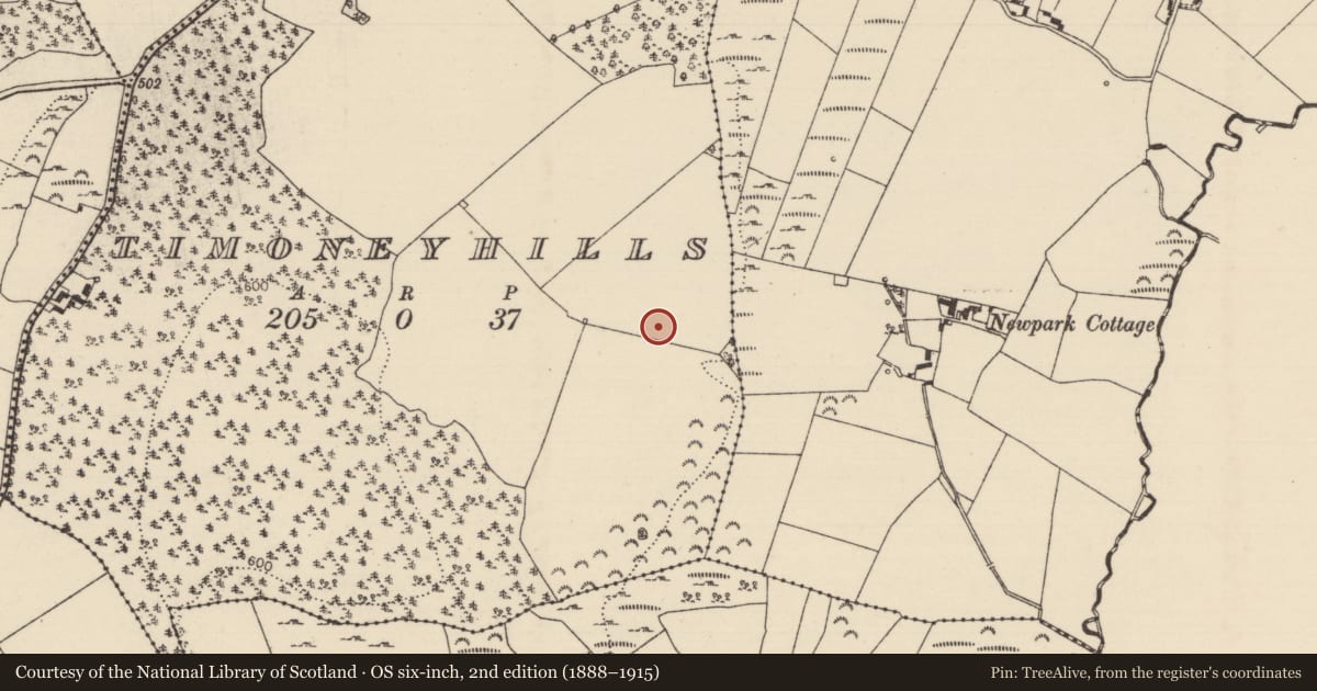 Ordnance Survey six-inch map, 2nd edition (1888–1915) covering the location of Standing stone, Timoney Hills, County Tipperary North, with a pin at the register's coordinates