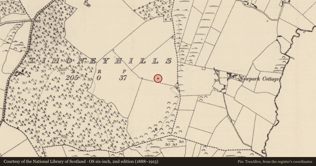Ordnance Survey six-inch map, 2nd edition (1888–1915) covering the location of Standing stone, Timoney Hills, County Tipperary North, with a pin at the register's coordinates
