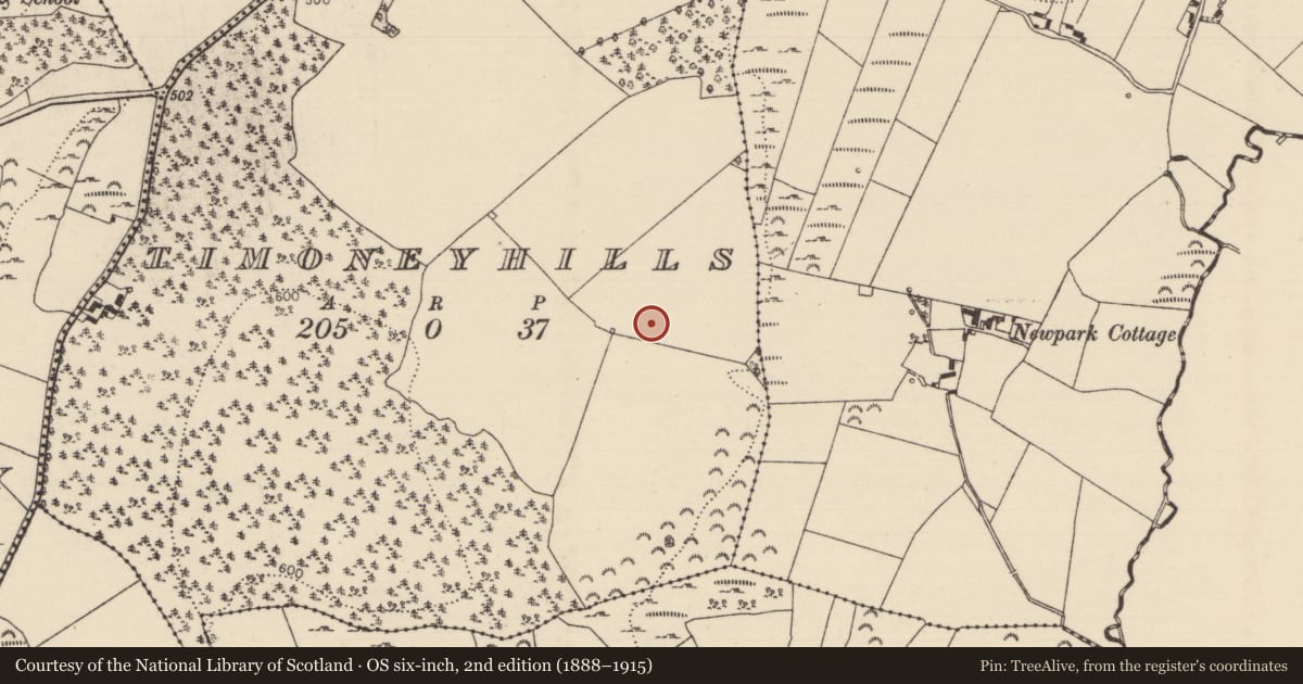 Ordnance Survey six-inch map, 2nd edition (1888–1915) covering the location of Standing stone, Timoney Hills, County Tipperary North, with a pin at the register's coordinates