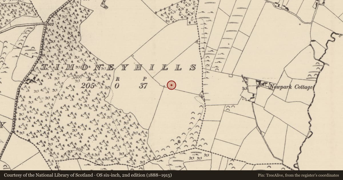 Ordnance Survey six-inch map, 2nd edition (1888–1915) covering the location of Standing stone, Timoney Hills, County Tipperary North, with a pin at the register's coordinates