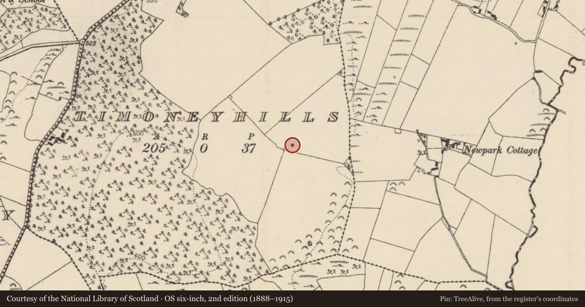 Ordnance Survey six-inch map, 2nd edition (1888–1915) covering the location of Standing stone, Timoney Hills, County Tipperary North, with a pin at the register's coordinates