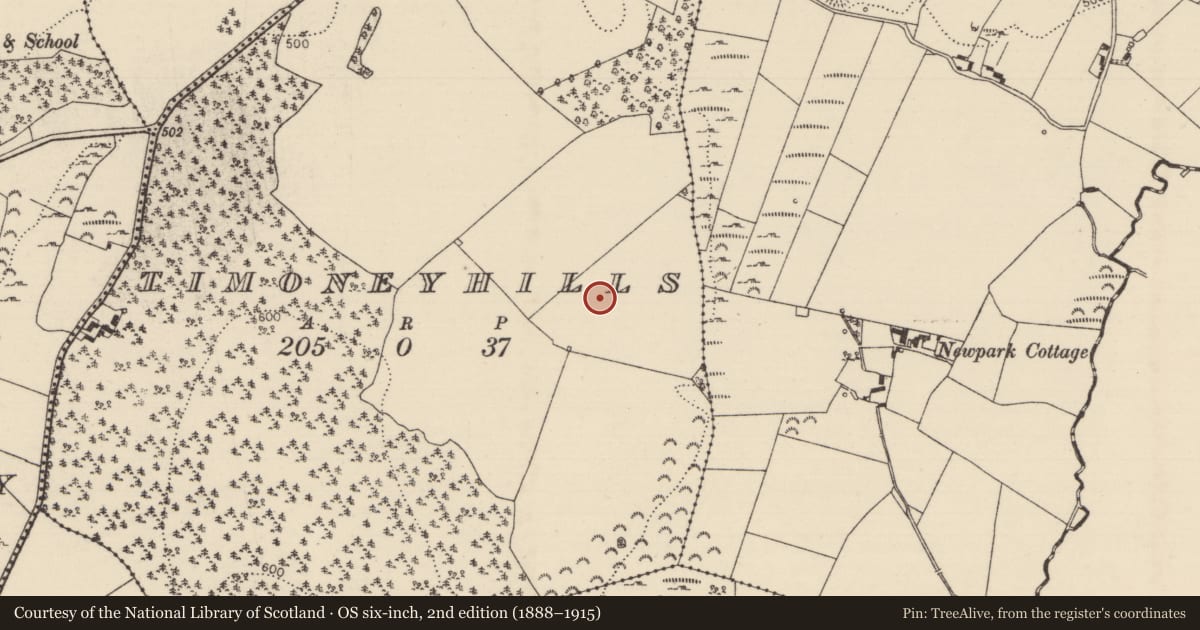 Ordnance Survey six-inch map, 2nd edition (1888–1915) covering the location of Standing stone, Timoney Hills, County Tipperary North, with a pin at the register's coordinates