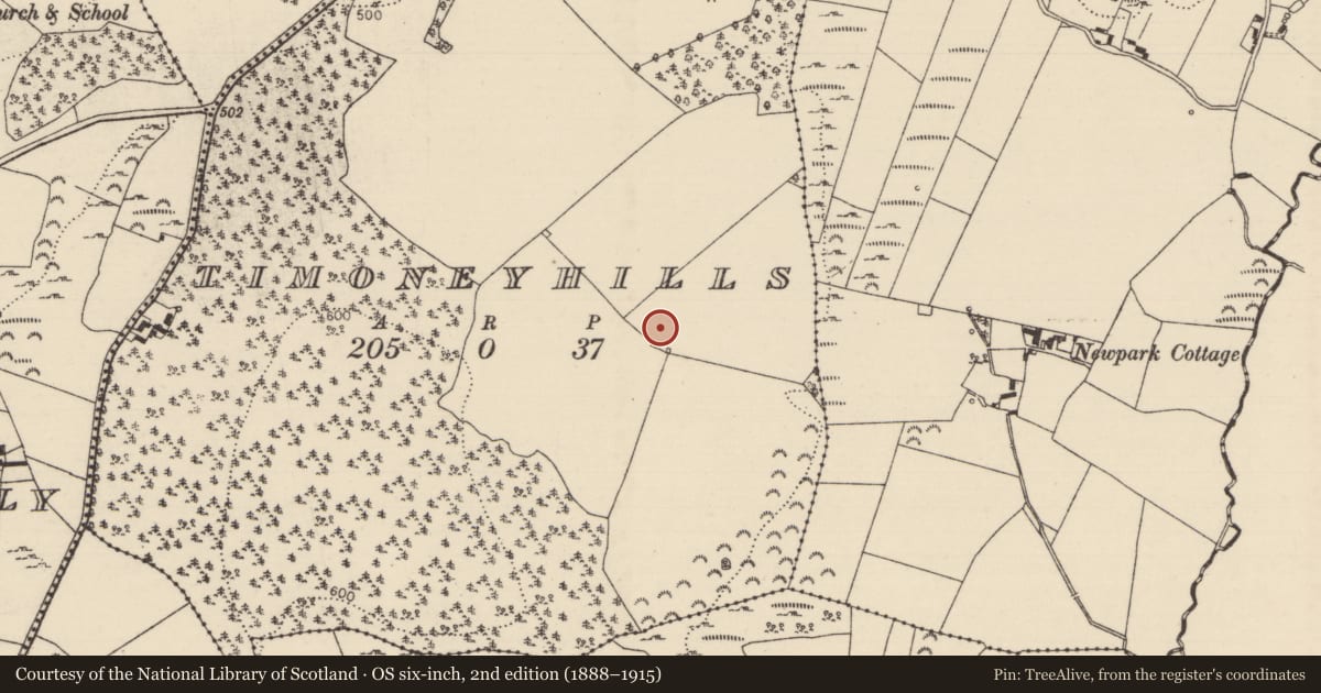 Ordnance Survey six-inch map, 2nd edition (1888–1915) covering the location of Standing stone, Timoney Hills, County Tipperary North, with a pin at the register's coordinates