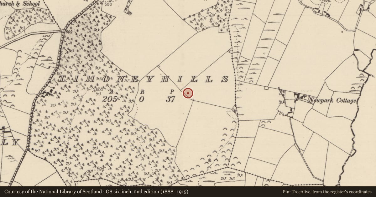 Ordnance Survey six-inch map, 2nd edition (1888–1915) covering the location of Standing stone, Timoney Hills, County Tipperary North, with a pin at the register's coordinates