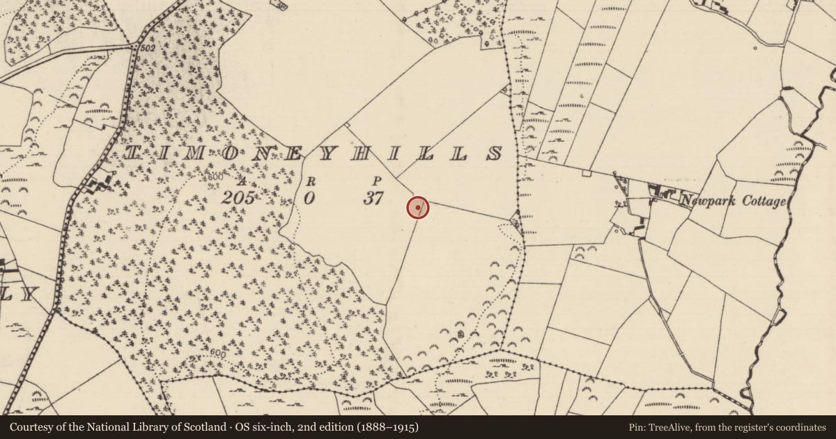 Ordnance Survey six-inch map, 2nd edition (1888–1915) covering the location of Standing stone, Timoney Hills, County Tipperary North, with a pin at the register's coordinates