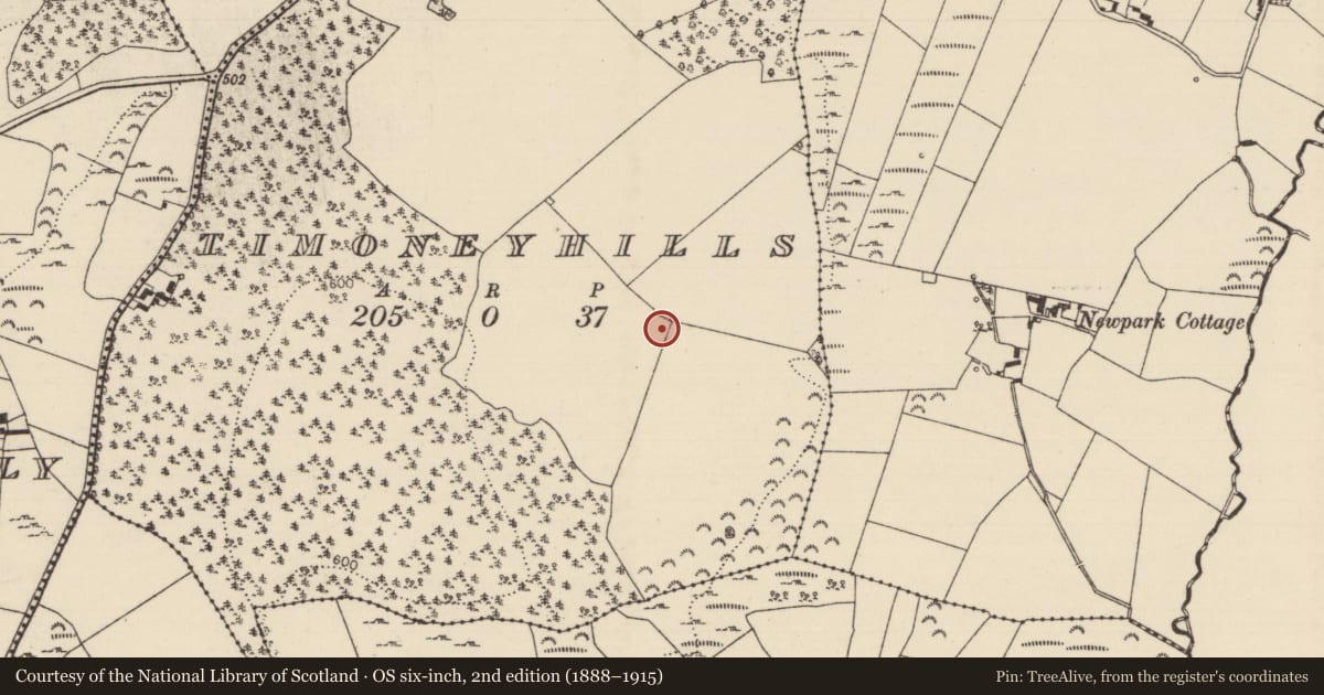 Ordnance Survey six-inch map, 2nd edition (1888–1915) covering the location of Standing stone, Timoney Hills, County Tipperary North, with a pin at the register's coordinates