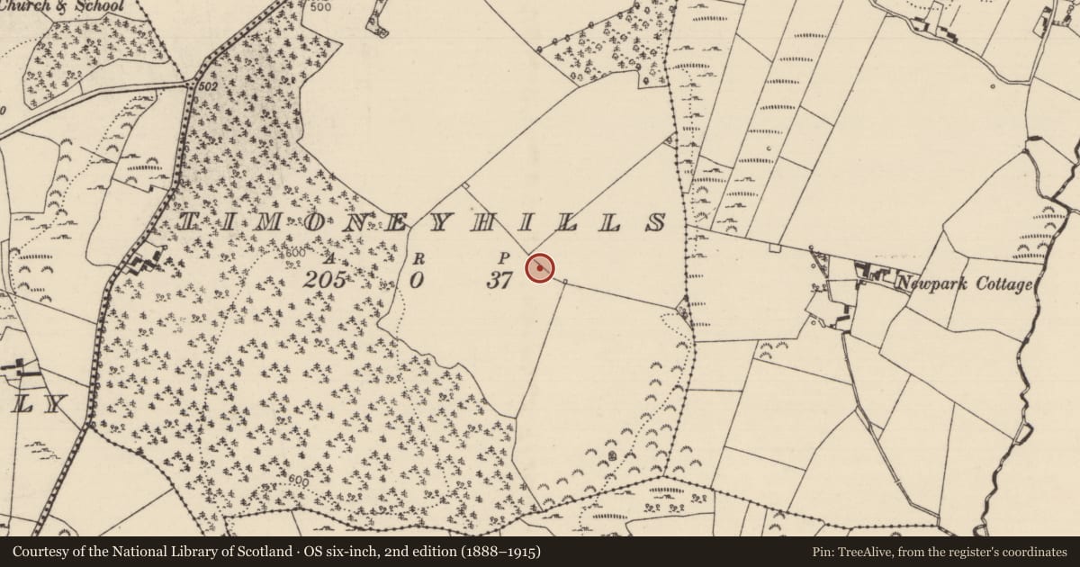 Ordnance Survey six-inch map, 2nd edition (1888–1915) covering the location of Standing stone, Timoney Hills, County Tipperary North, with a pin at the register's coordinates