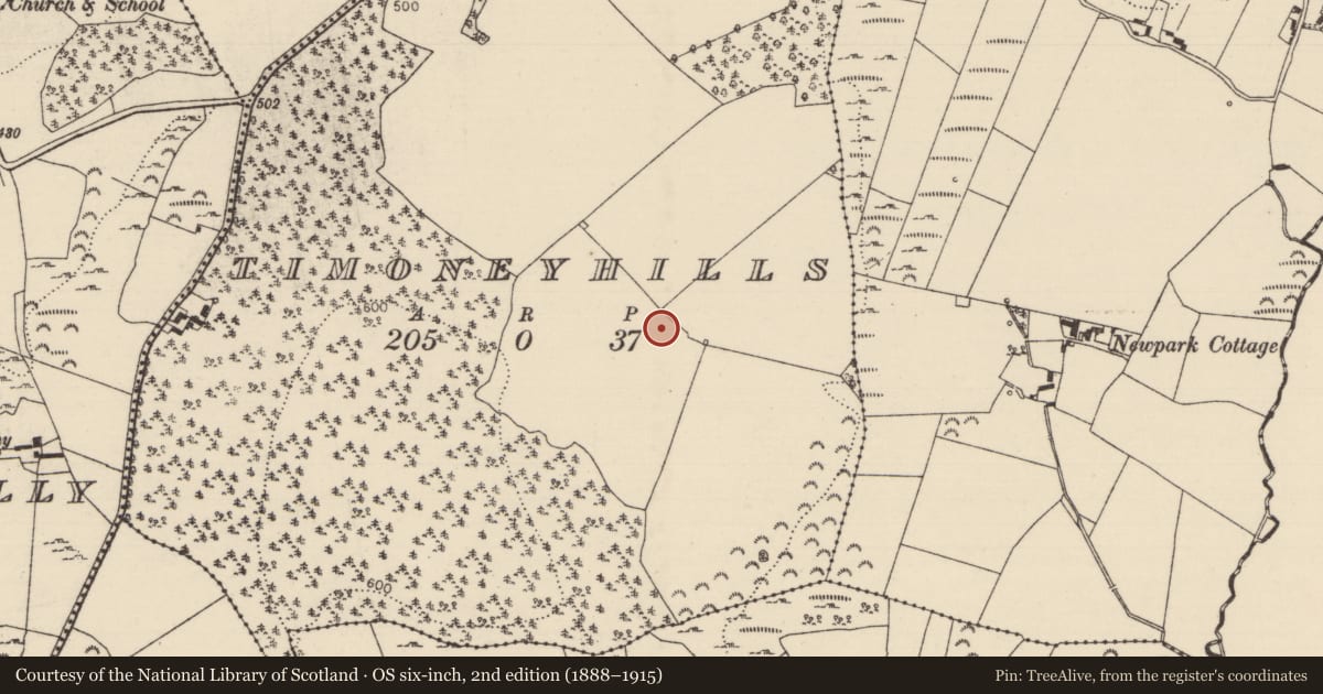 Ordnance Survey six-inch map, 2nd edition (1888–1915) covering the location of Standing stone, Timoney Hills, County Tipperary North, with a pin at the register's coordinates