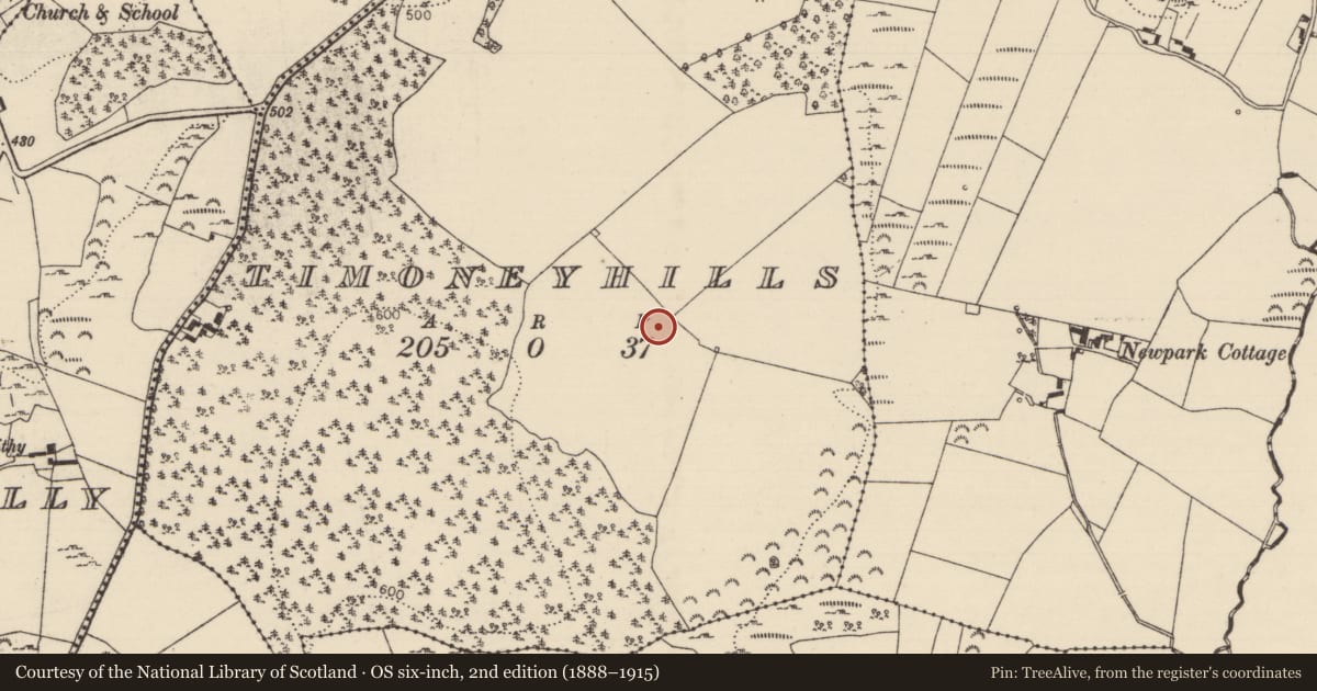 Ordnance Survey six-inch map, 2nd edition (1888–1915) covering the location of Standing stone, Timoney Hills, County Tipperary North, with a pin at the register's coordinates