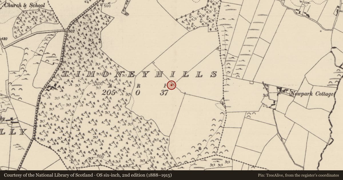 Ordnance Survey six-inch map, 2nd edition (1888–1915) covering the location of Standing stone, Timoney Hills, County Tipperary North, with a pin at the register's coordinates