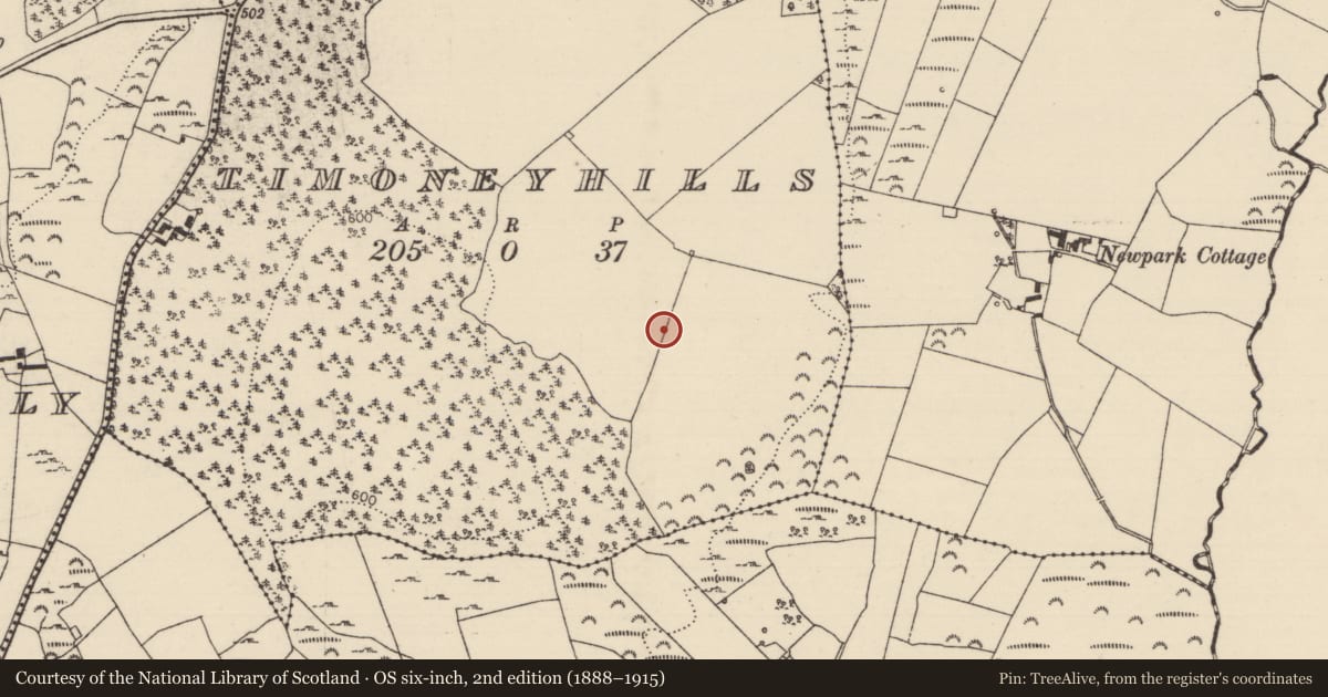 Ordnance Survey six-inch map, 2nd edition (1888–1915) covering the location of Standing stone, Timoney Hills, County Tipperary North, with a pin at the register's coordinates