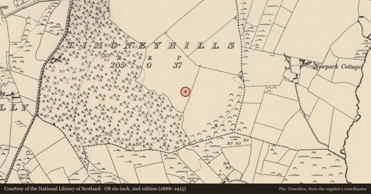Ordnance Survey six-inch map, 2nd edition (1888–1915) covering the location of Standing stone, Timoney Hills, County Tipperary North, with a pin at the register's coordinates