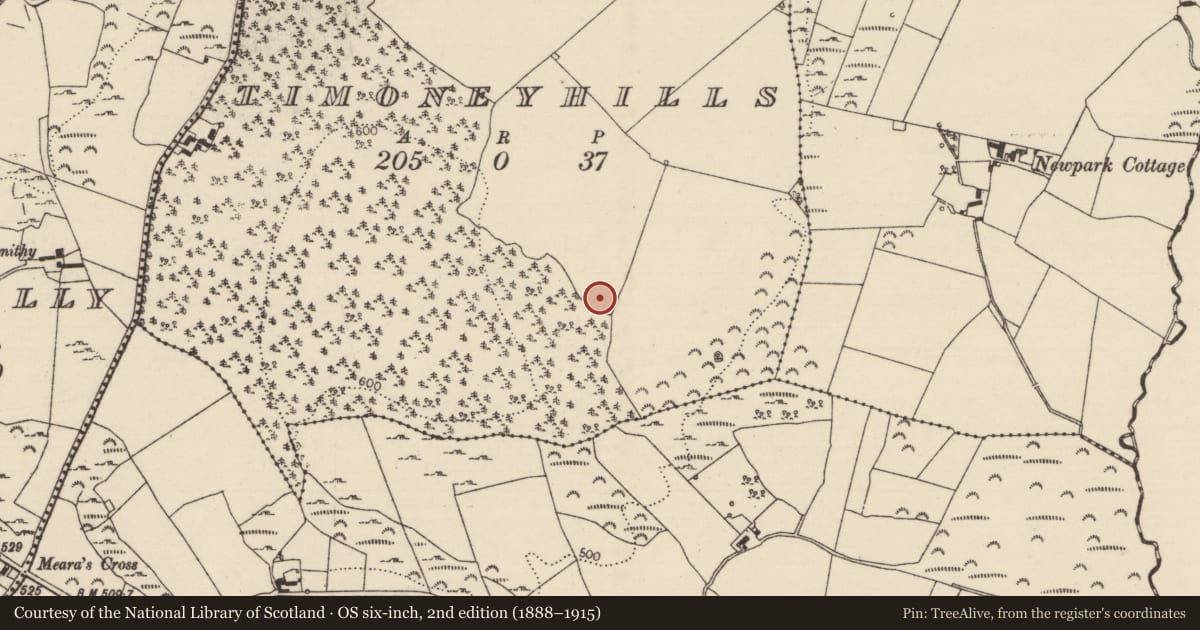 Ordnance Survey six-inch map, 2nd edition (1888–1915) covering the location of Standing stone, Timoney Hills, County Tipperary North, with a pin at the register's coordinates