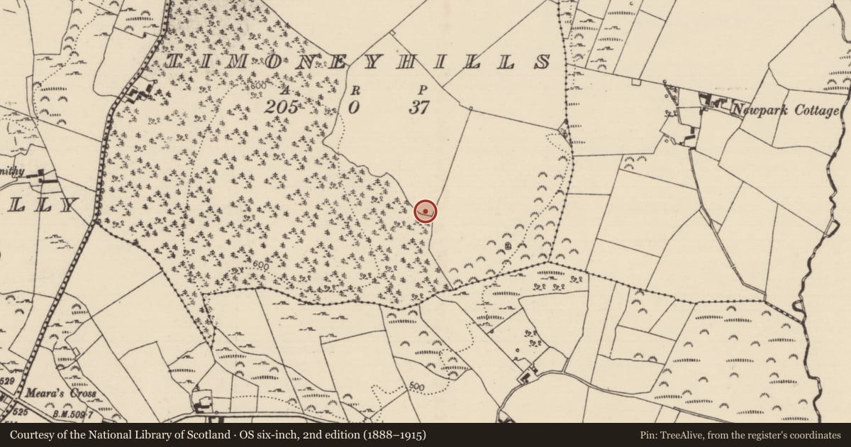 Ordnance Survey six-inch map, 2nd edition (1888–1915) covering the location of Standing stone, Timoney Hills, County Tipperary North, with a pin at the register's coordinates