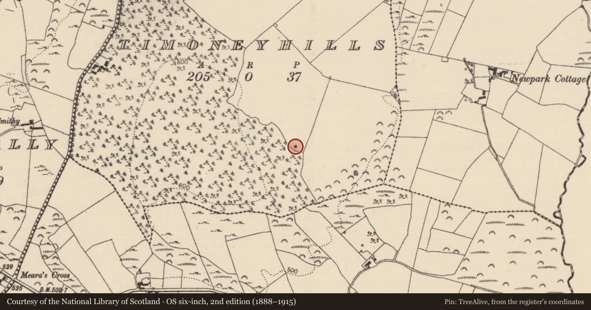 Ordnance Survey six-inch map, 2nd edition (1888–1915) covering the location of Standing stone, Timoney Hills, County Tipperary North, with a pin at the register's coordinates