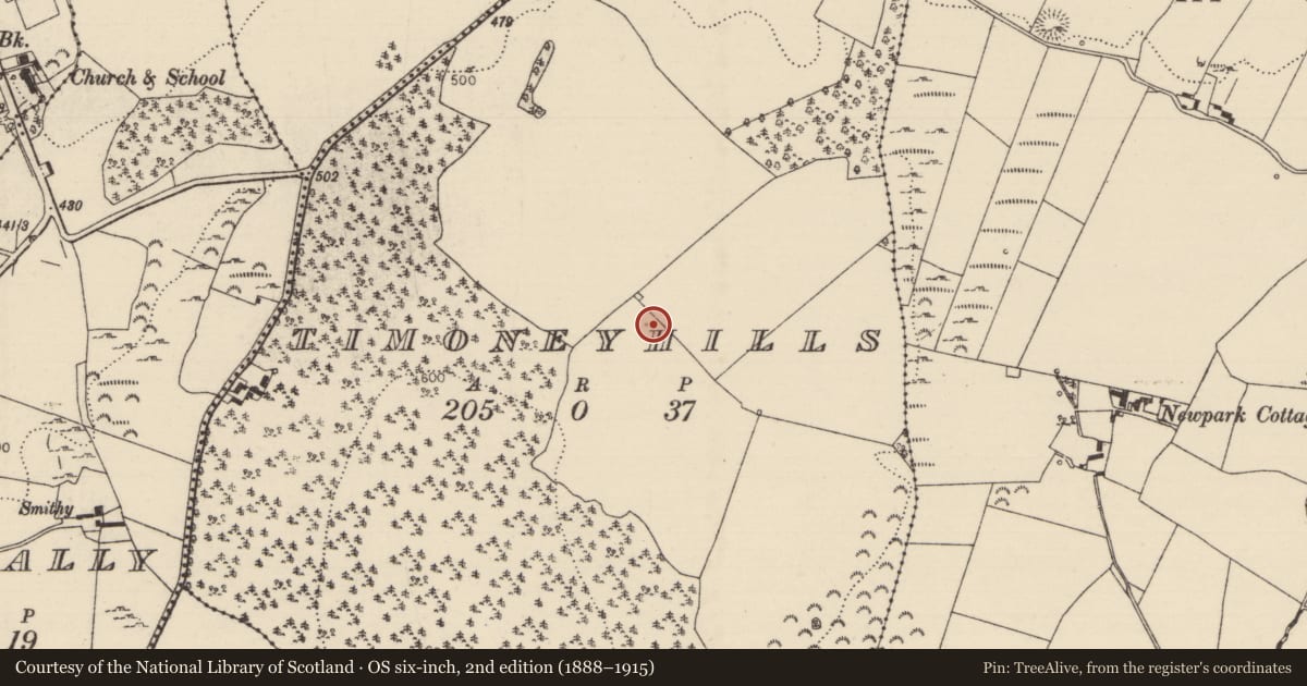 Ordnance Survey six-inch map, 2nd edition (1888–1915) covering the location of Standing stone, Timoney Hills, County Tipperary North, with a pin at the register's coordinates