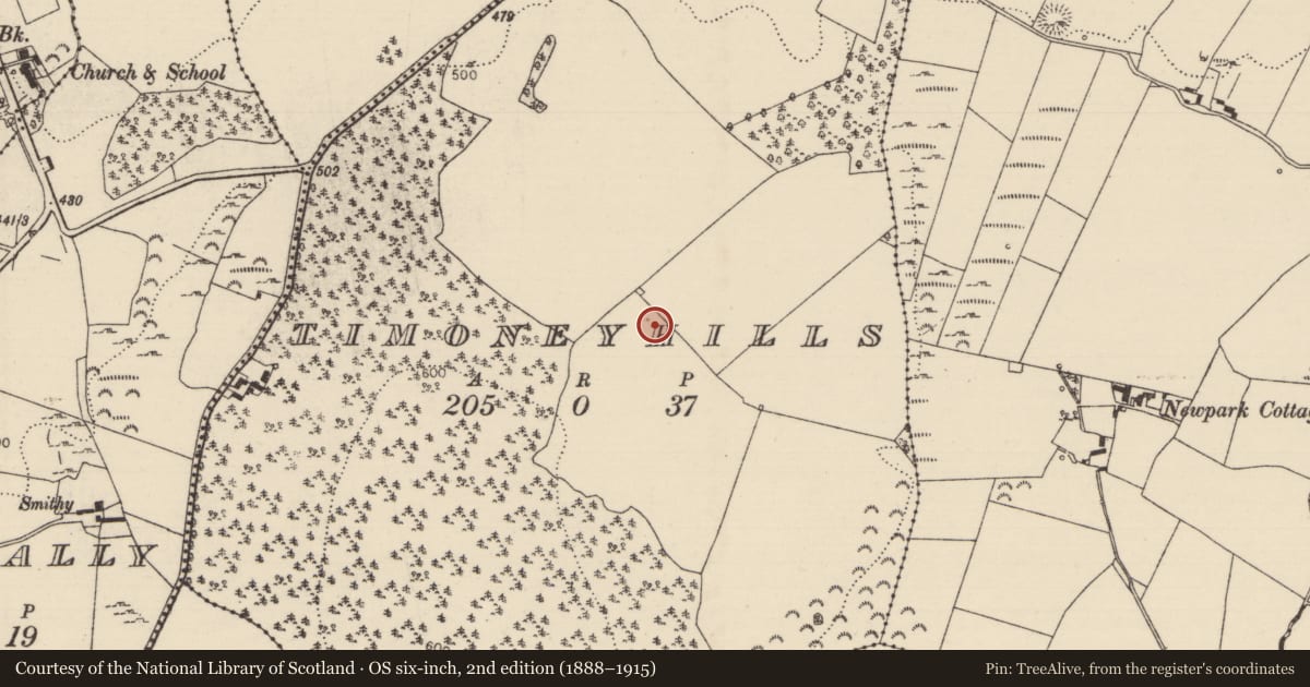 Ordnance Survey six-inch map, 2nd edition (1888–1915) covering the location of Standing stone, Timoney Hills, County Tipperary North, with a pin at the register's coordinates