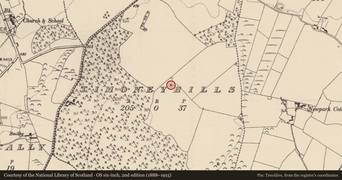 Ordnance Survey six-inch map, 2nd edition (1888–1915) covering the location of Standing stone, Timoney Hills, County Tipperary North, with a pin at the register's coordinates